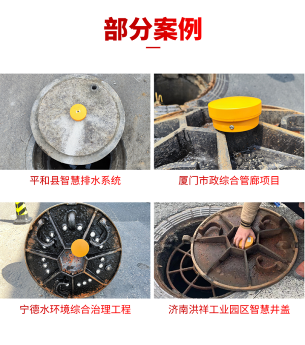 井蓋甲烷傳感器 EN100-G(圖11) 井蓋甲烷傳感器 EN100-G(圖11)